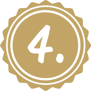 icon 4