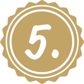 icon 5