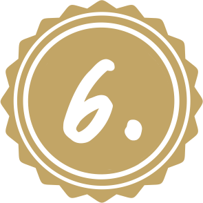 icon 6