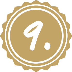 icon 9